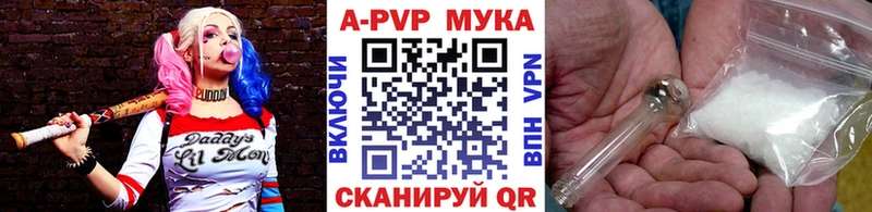 A PVP СК КРИС  Жиздра 