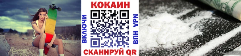 blacksprut вход  Жиздра  Cocaine 99% 
