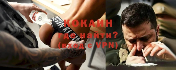 МДПВ Дмитриев