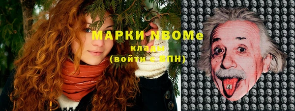 МДПВ Ельня