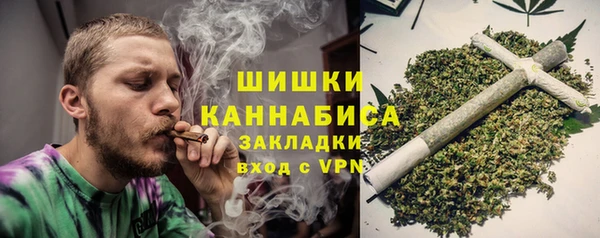 МДПВ Дмитриев