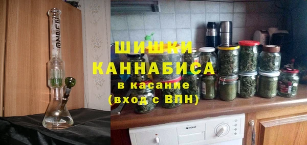 МДПВ Дмитриев
