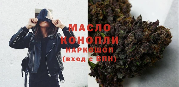 МДПВ Дмитриев