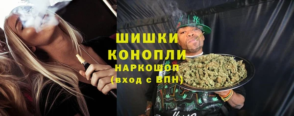 МДПВ Дмитриев