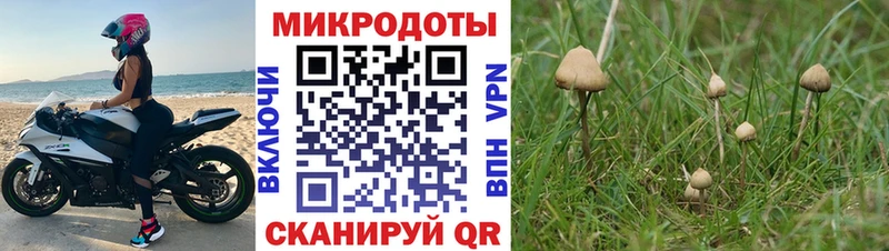omg ССЫЛКА  Жиздра  Псилоцибиновые грибы ЛСД 